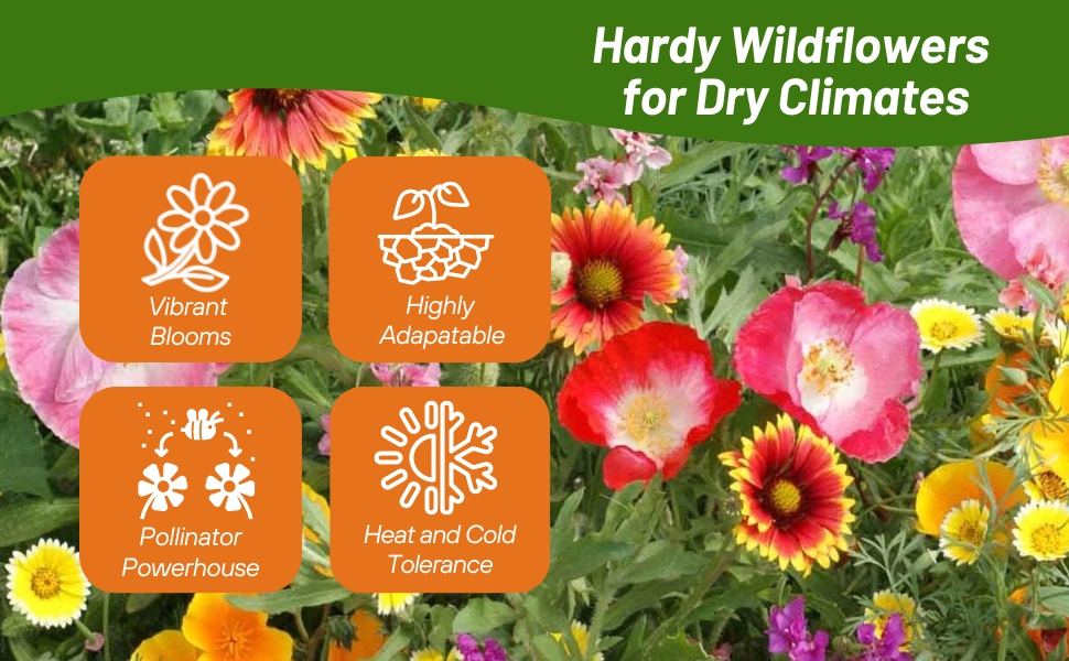 Pollinator Powerhouse Southwest Wildflower Seed Mixture