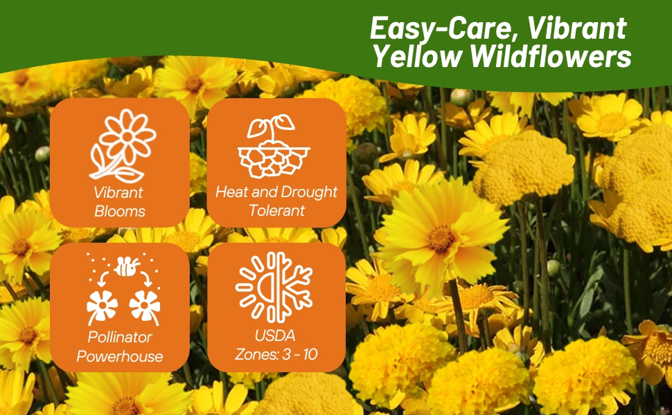 Heat and Drought Tolerant Yellow Wildflowers