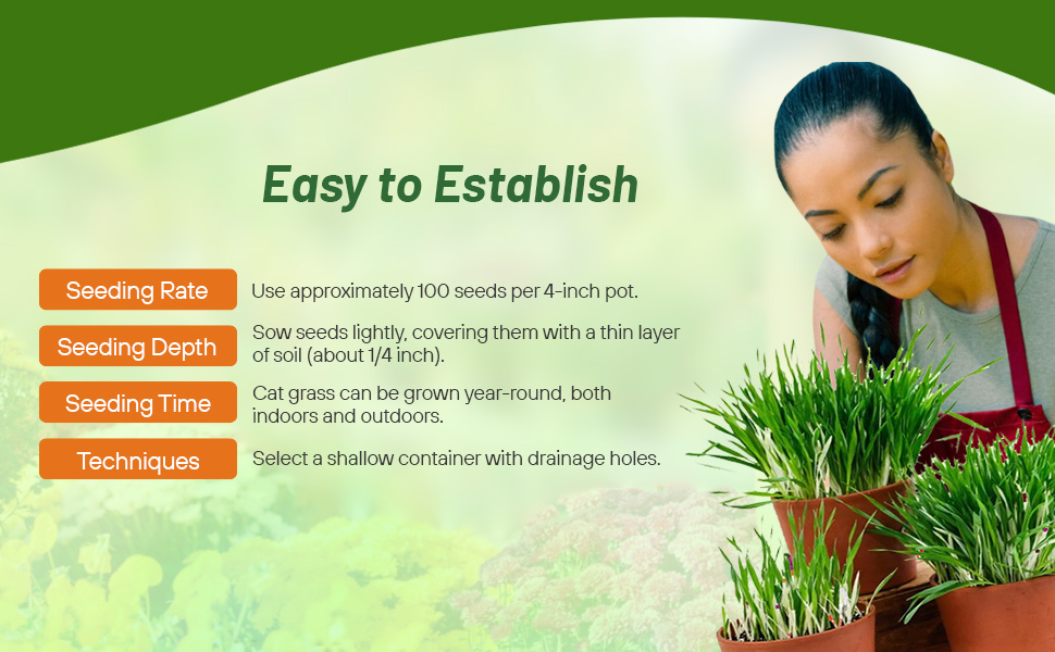 Planting Instructions & Seeding Rates For Cat Grass Ornamental Grass Seeds