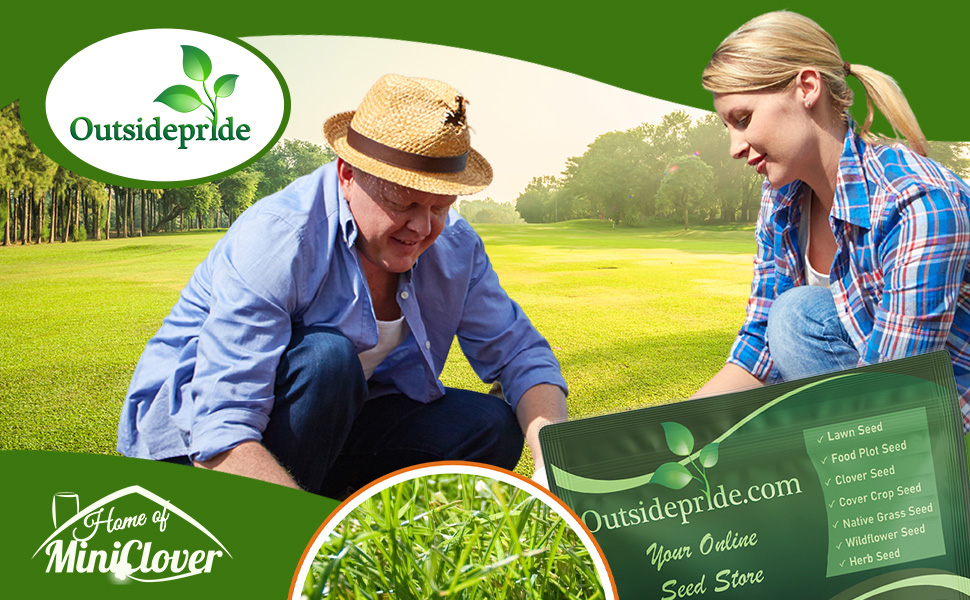 Oasis Bermuda Lawn Grass Seed Blend