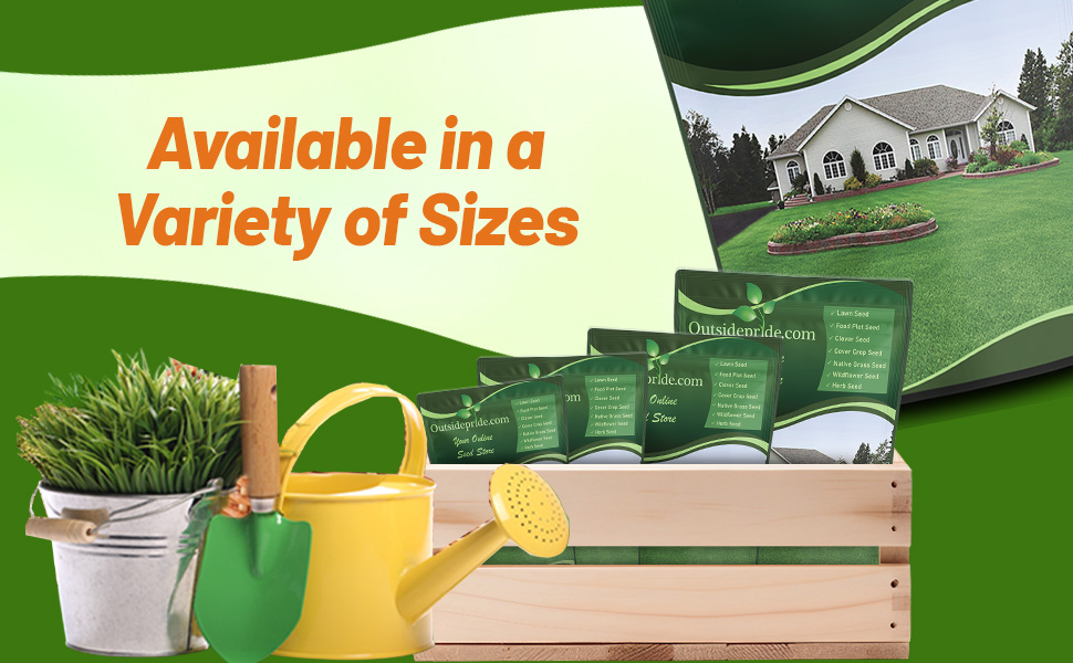 Drought Tolerant Perennial Buffalo Texoka Grass Seed