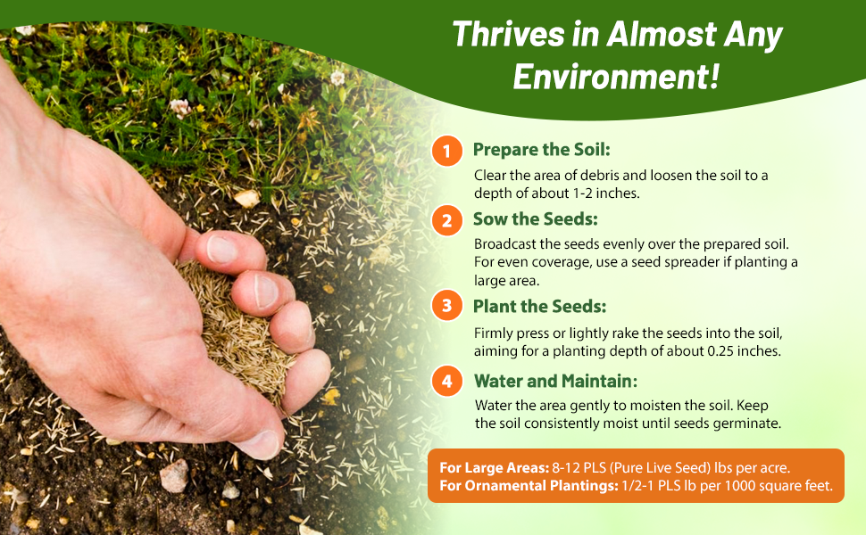 Planting Rate & Seed Time For Indian Native Prairie Grass Seed