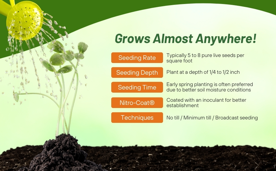 Planting Instructions For Birdsfoot Trefoil