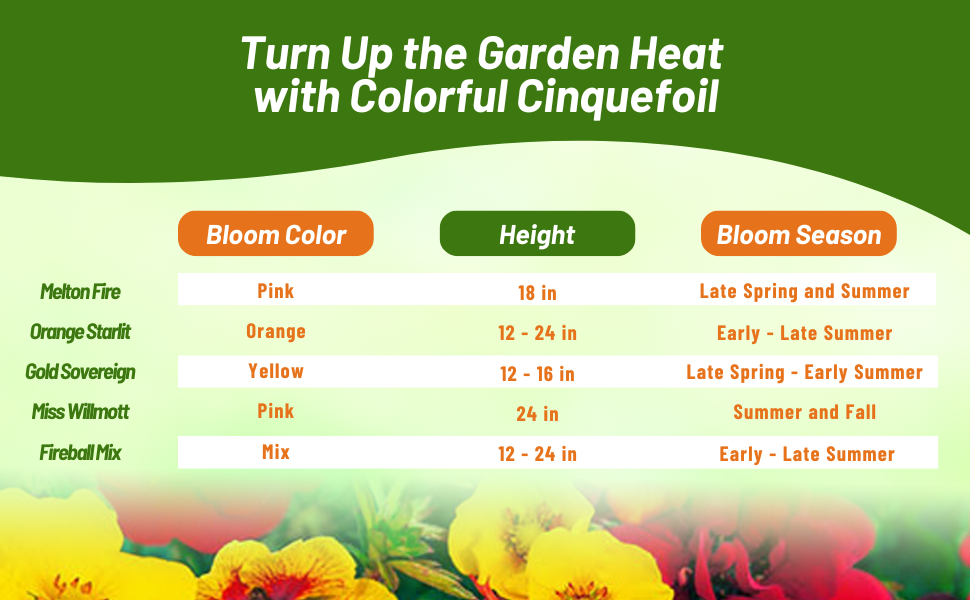 Cinequefoil Bloom Season, Color, & Height Chart