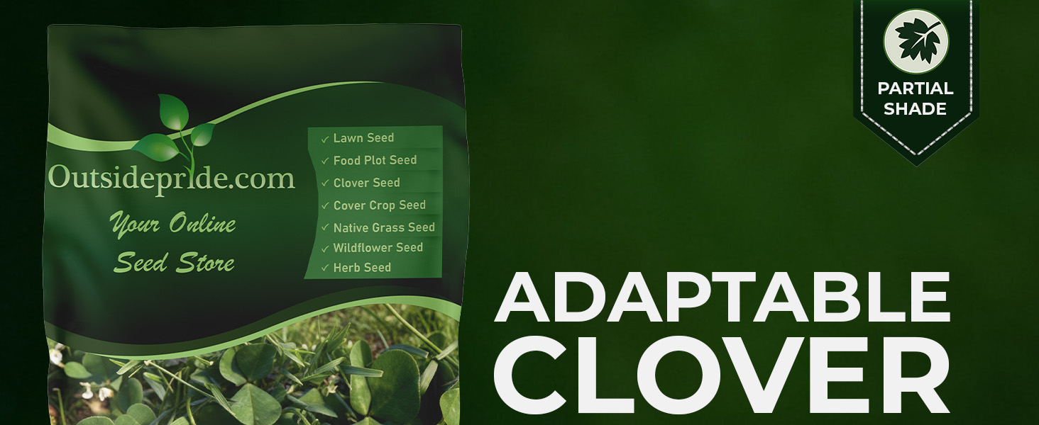 Subterranean Clover
