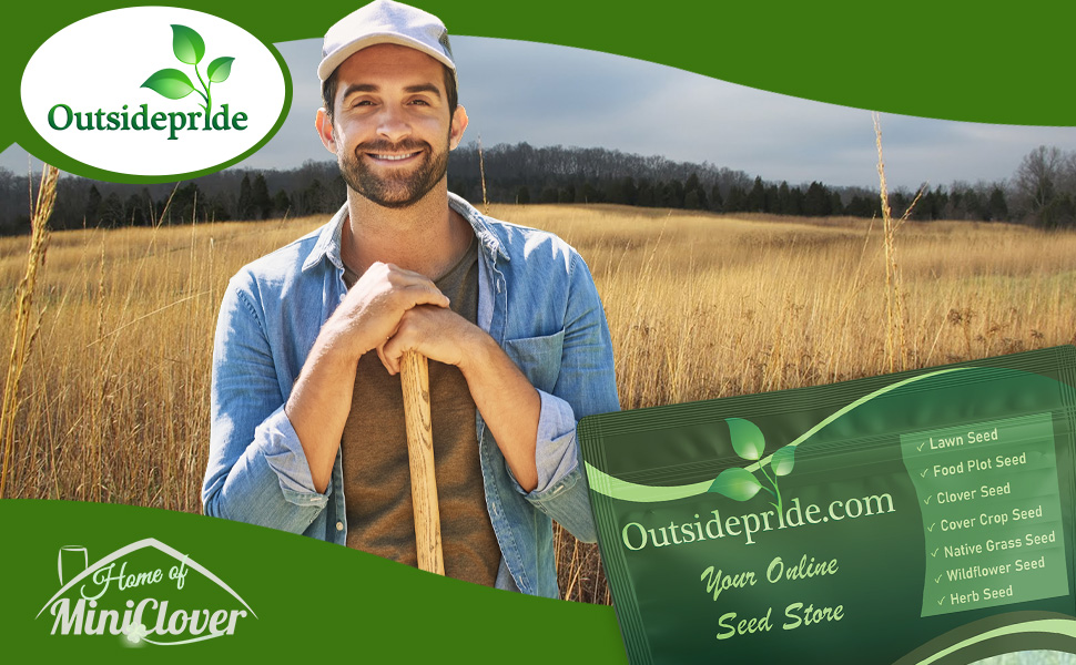 Southwest Native Grass Seed Field