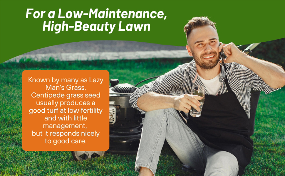 Lazy Man's Grass Centipede Lawn Seed
