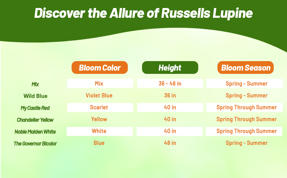 Lupine Chart of Bloom Season, Color, & Height