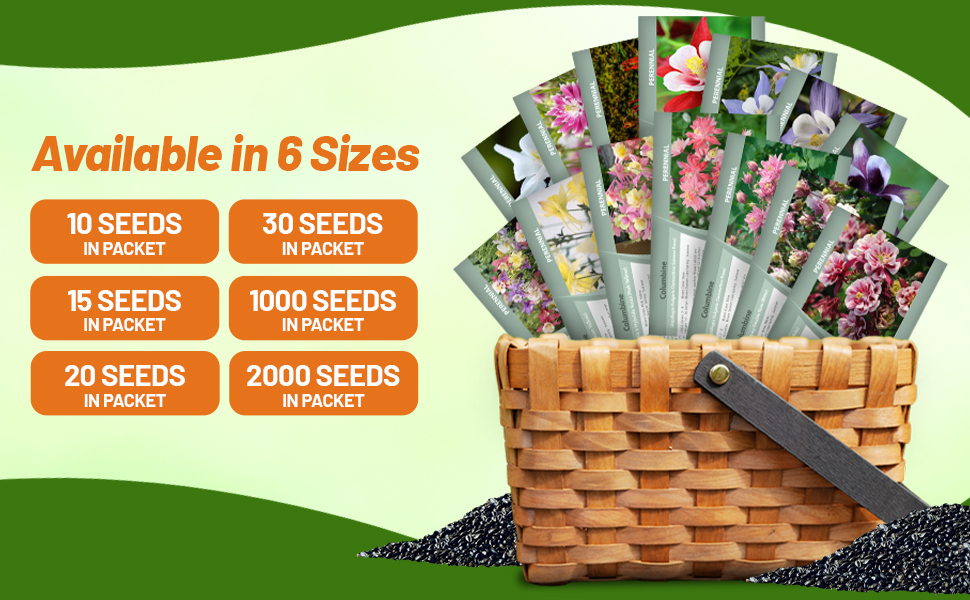 Aquilegia Columbine Seed Packets For Planting