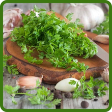 Chervil Mild Anise Flavor For Cooking