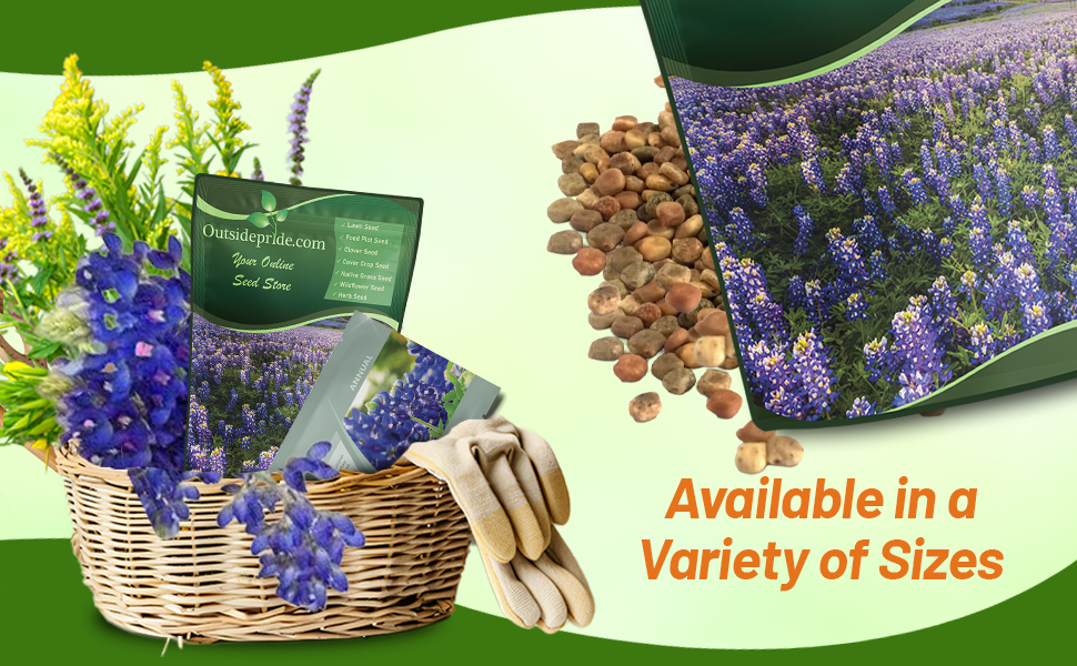 Texas Bluebonnet Seed Packet & Bulk Bag For Planting
