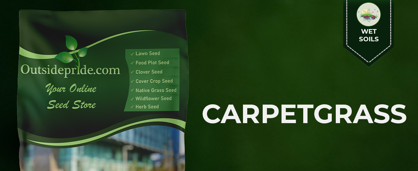 Carpet Grass
