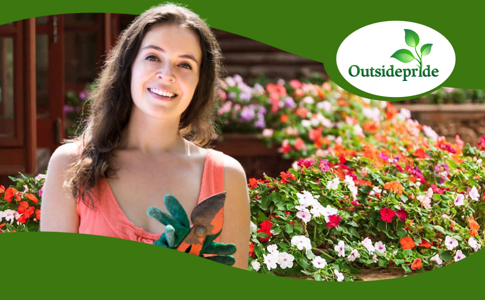 New Guinea Impatiens Flower Garden