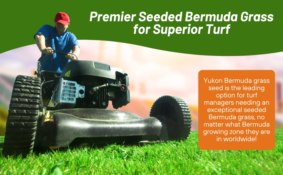 Yukon High Turf Quality Bermuda Seed
