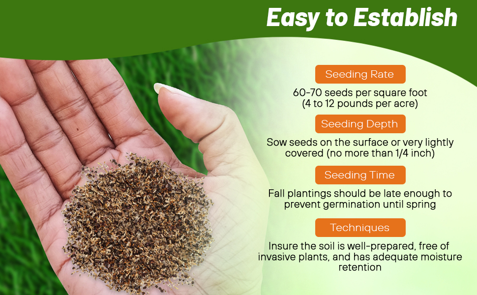Planting Directions For Orange Flower Seeds