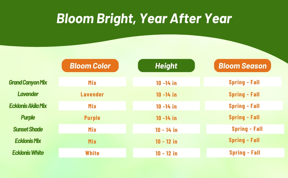 Bloom Color, Height, & Color Chart For Perennial Osteospermum African Daisies
