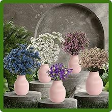 Statice Container Plants