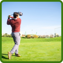 Wear Tolerant Seashore Paspalum Grass Seed