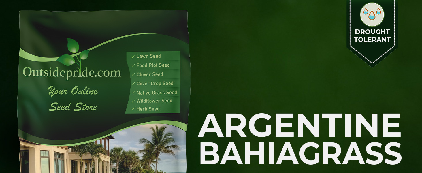 Argentine Bahia