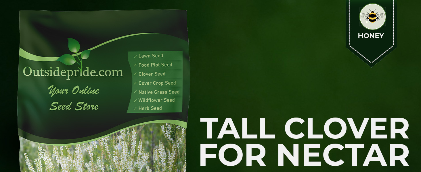 White Sweet Clover