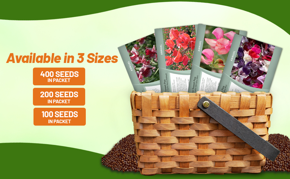 Old Spice Lathyrus Sweet Peas Flower Seed Packets For Planting