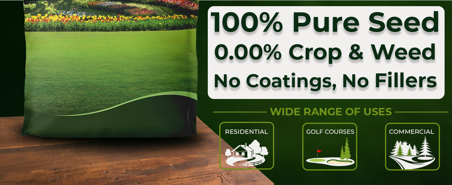Creeping Red Fescue Pure Raw Seed