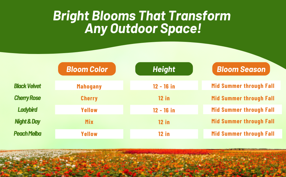 Nasturtium Bloom Colors, Heights, and Bloom Season