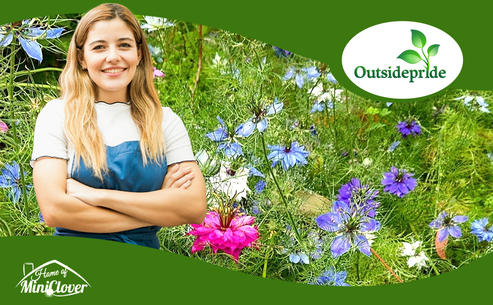 Nigella Love In A Mist Flower Garden Mixture