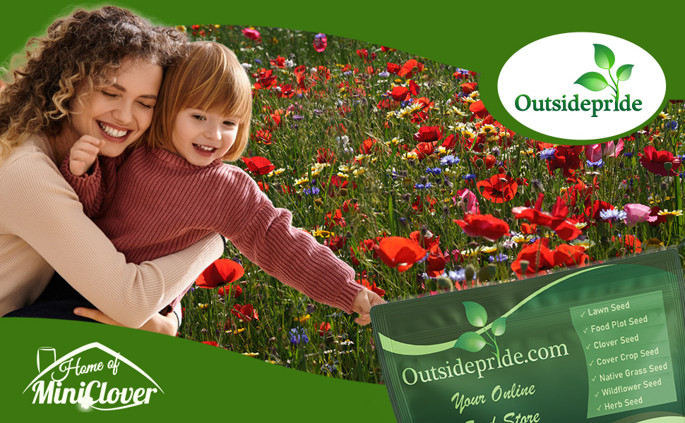 Deer Proof Wildflower Seed Mixture