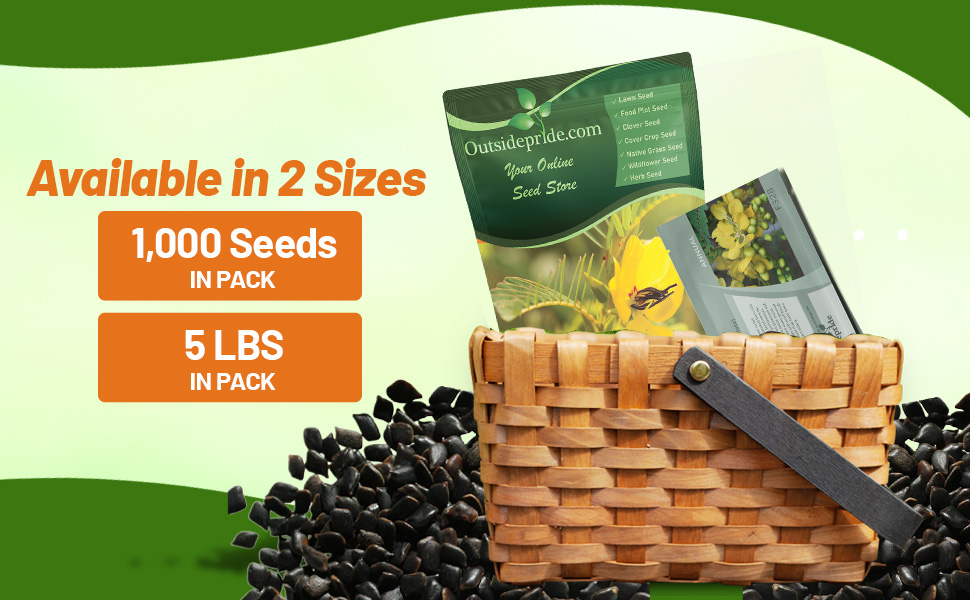 Bags of Partridge Pea For Planting