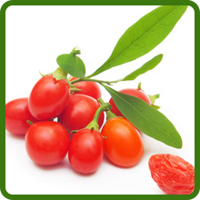 Bright Red Cluster of Goji Berries