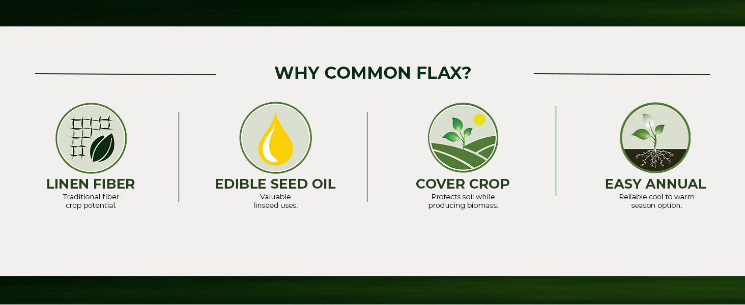 Common Flax Cover Crop