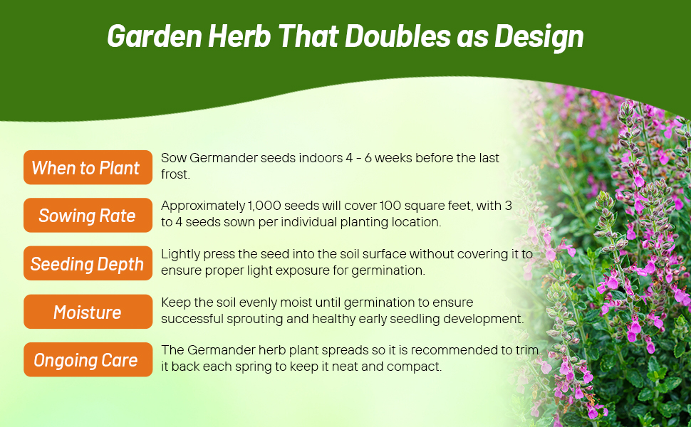 Planting Directions & Seeding Rate For Germander