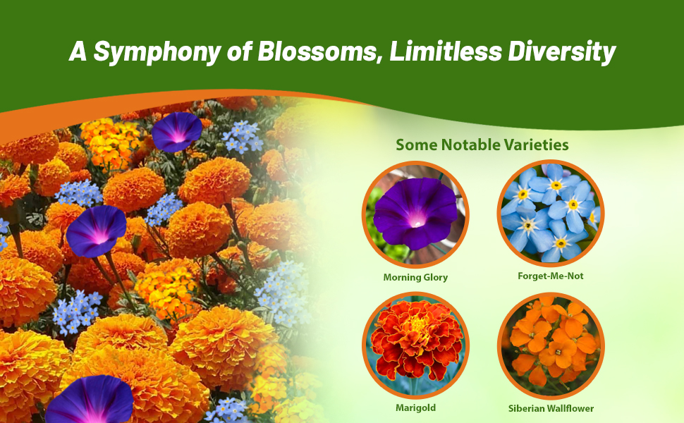 Varieties of Rock Garden Annual Flower Seeds