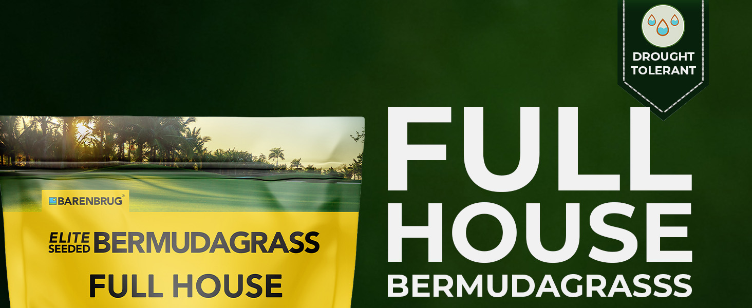 Full House Bermuda