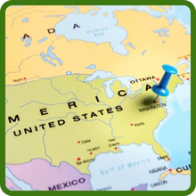 Native Oenothera Evening Primrose