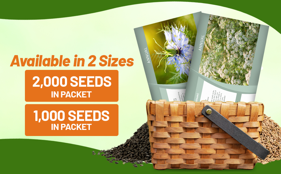 Cumin Seed Packets For Sale