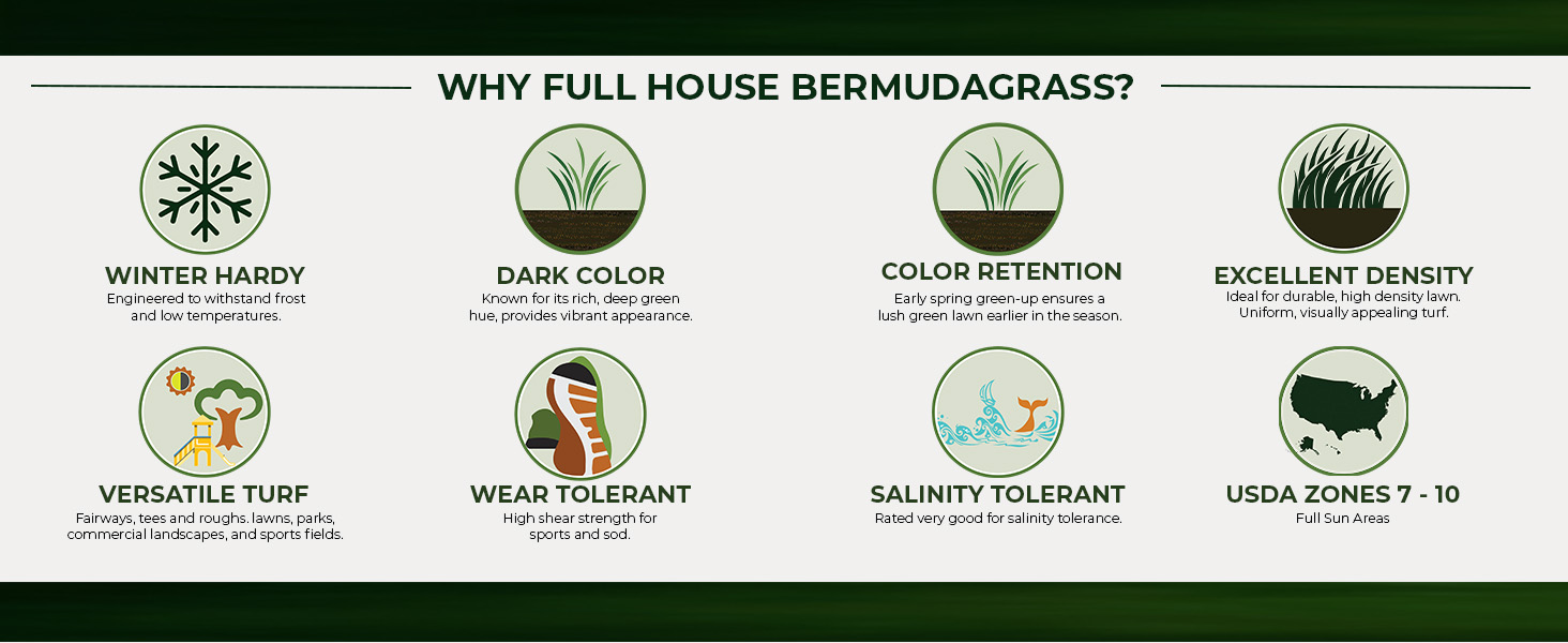 Monaco Bermuda Warm Season Grass