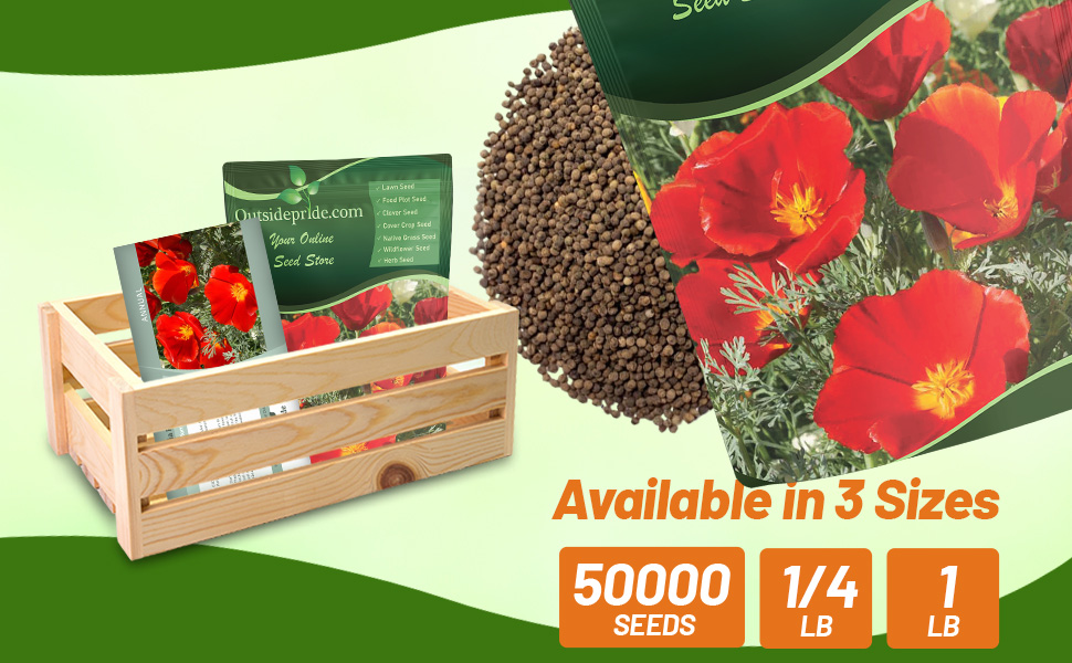 Bulk California Poppy Red Wildflowers For Planting