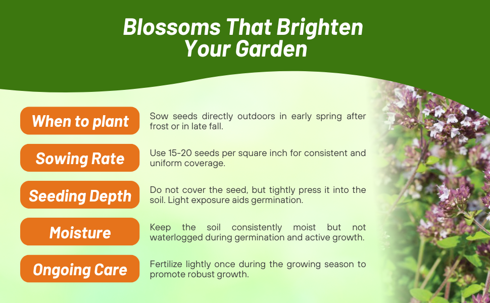 Sweet Majoram Planting Directions