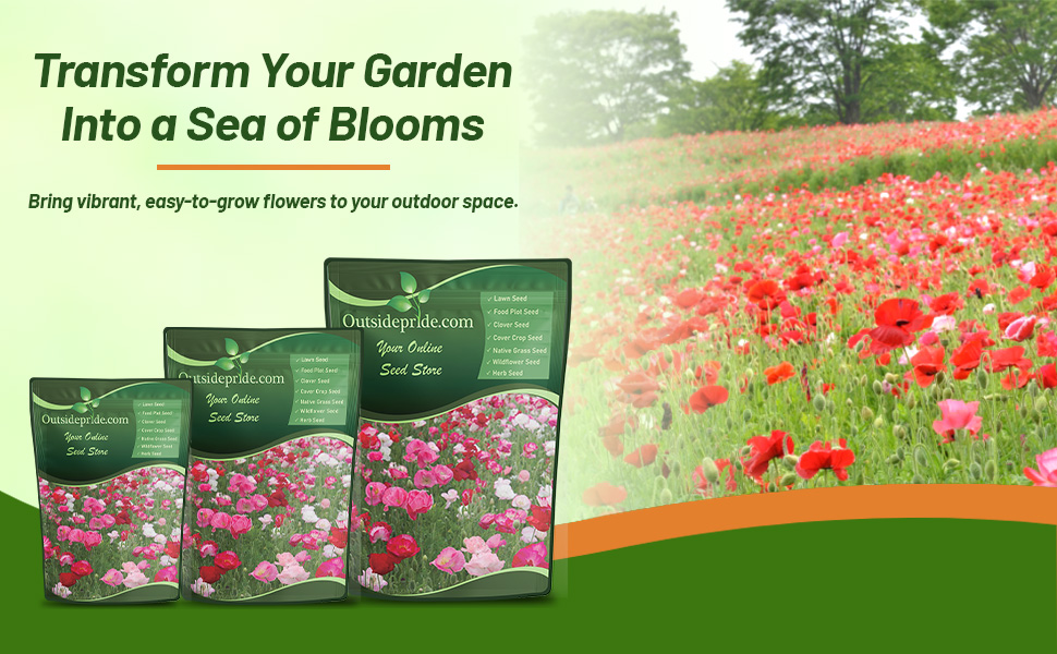 Papaver Rhoeas Shirely Poppy Easy To Grow Flower Seeds