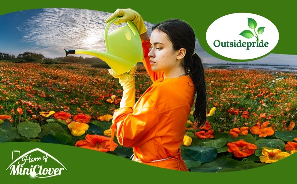 Watering Nasturtium Flower Garden