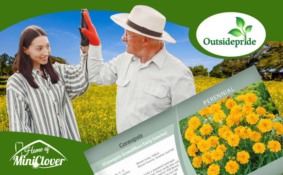 Early Sunrise Coreopsis Flower Garden