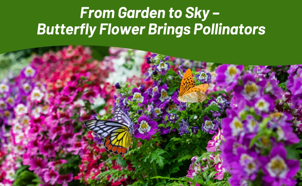 Butterfly Flower Attracting Butterflies & Pollinators