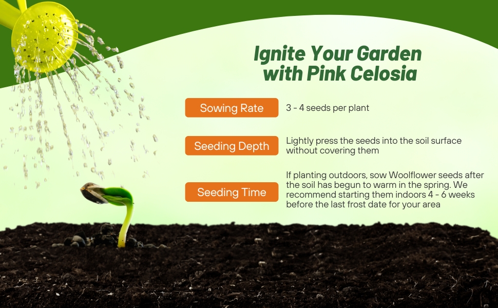 Planting Directions For Celosia Castle Pink Flower Seeds