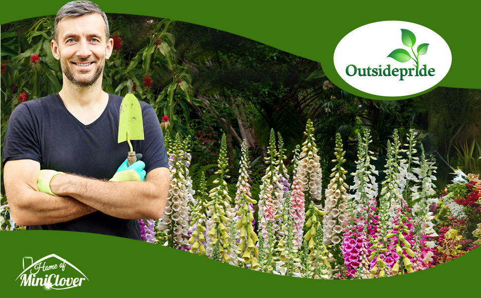 Digitalis Foxglove Flower Garden Seeds