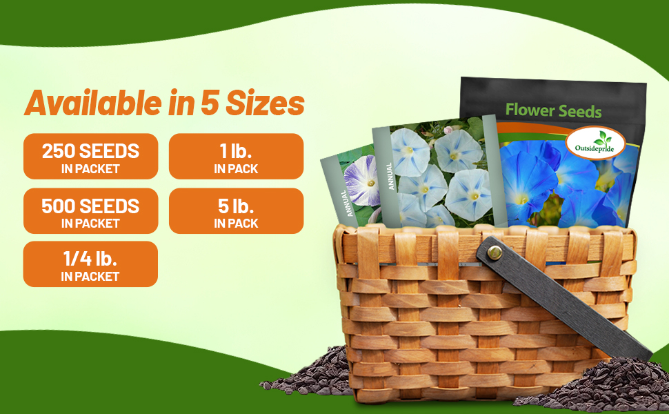 Ipomoea Tricolor Morning Glory Seed Bags For Planting