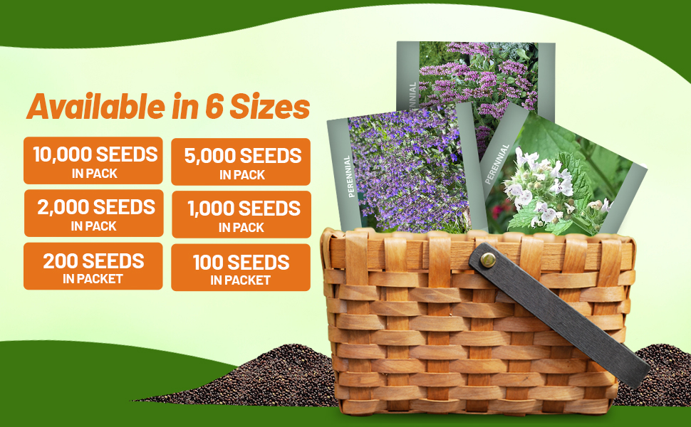 Catmint Seed Packets For Planting