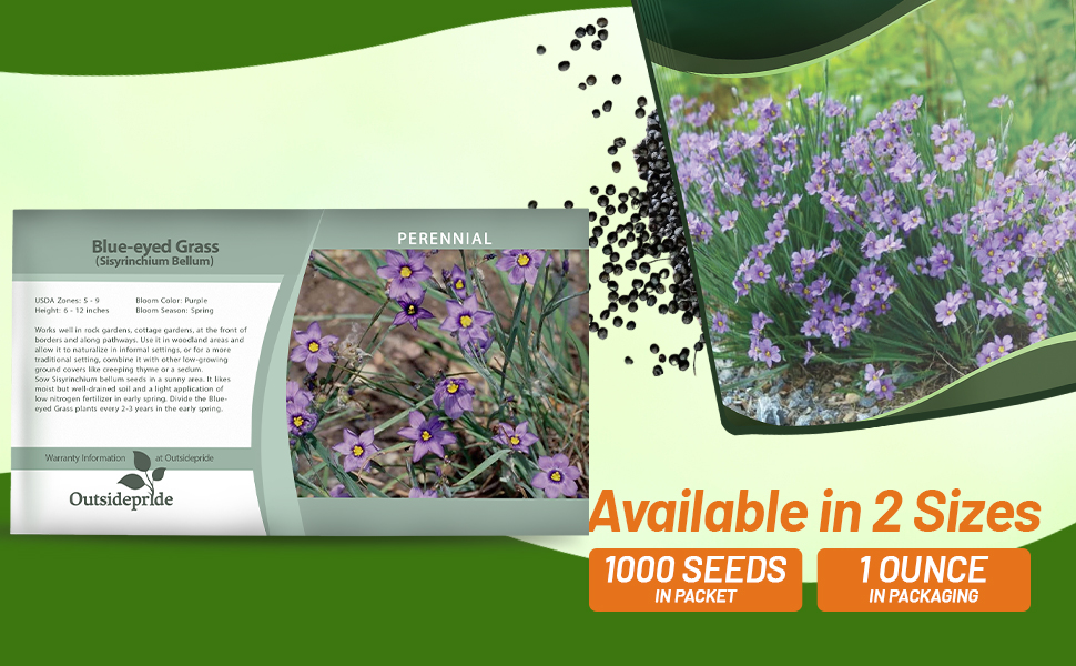 Blue-eyed Grass Seed Packet and Bag For Planting