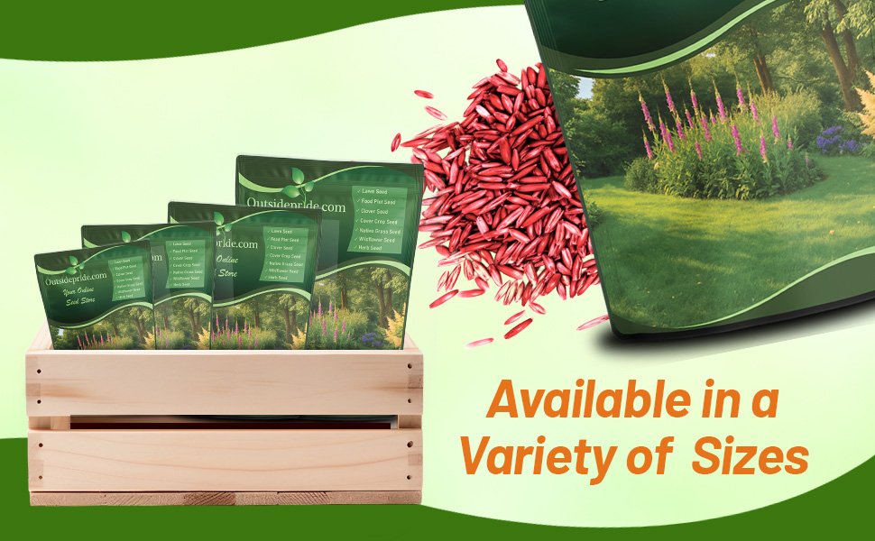 Coated Sheeps Fine Fescue Erosion Control Grass Seed